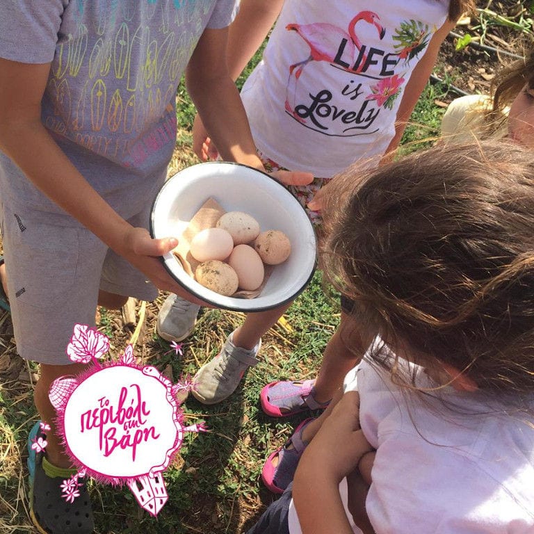 a boy holding a bowl with eggs from 'The Orchard in Vari' farm and others three waching them